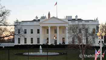 White House meets little resistance in hiring former lobbyists