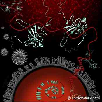 Deep Dive Into Key SARS-CoV-2 Protein Is a Step Toward New COVID-19 Drugs & Vaccines