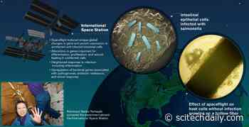 First Infection of Human Cells During Spaceflight Analyzed by Researchers