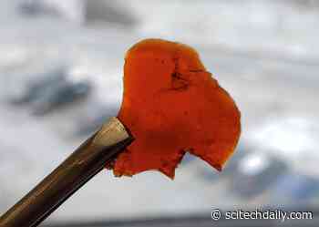 Making Cleaner, Greener, Biodegradable Plastics From Waste Fish Parts