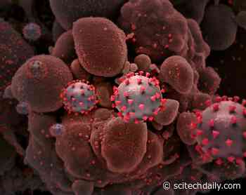 Experimental Therapy For Parasitic Heart Disease  – K777 – May Also Help Stop COVID-19