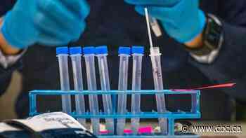 N.S. opens to Newfoundland and Labrador, other COVID-19 restrictions eased