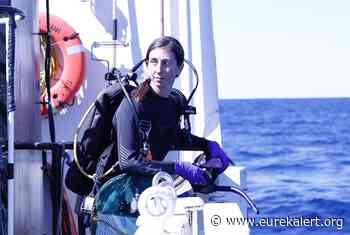Houston flooding polluted reefs more than 100 miles offshore - EurekAlert