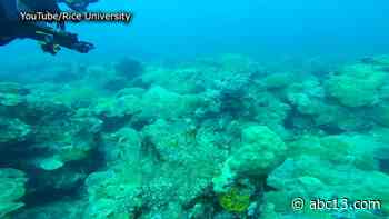 Houston flooding from Harvey and Tax Day polluted reefs more than 100 miles offshore, Rice University study finds - KTRK-TV