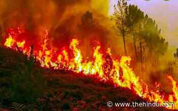 Uttarakhand faces unprecedented forest fire - The Hindu
