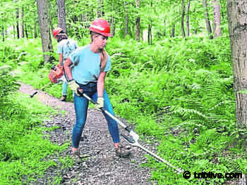 Loyalhanna Watershed Association seeks interns to help with state forest projects - TribLIVE