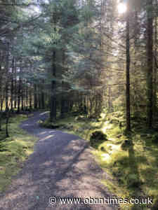 Liam creates some forest fun for families at Fearnoch - The Oban Times