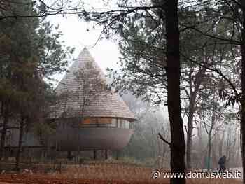 A “mushroom” house in a pine forest - Domus