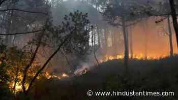 Himachal fighting forest fires after prolonged dry spell - Hindustan Times