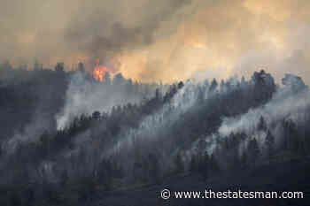 Himachal Pradesh gears up to control forest fires - The Statesman