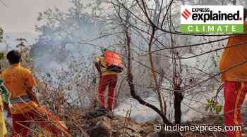 Explained: Why forest fires break out in the spring, and why they have been so frequent this year - The Indian Express