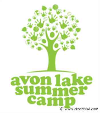 Avon Lake offers new Fine Arts Summer Camp - cleveland.com
