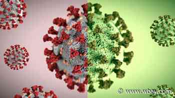 State reports 886 coronavirus cases, most since February - WBAY