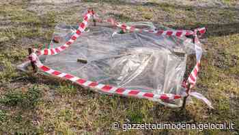 Modena, parco della Repubblica: Bimbe colpite da bruciore dopo aver toccato il terreno - La Gazzetta di Modena