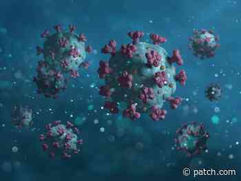 CT Daily Coronavirus Positivity Rate Back Up To 5 Percent - Patch.com