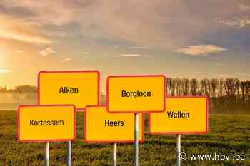 Vijf gemeenten van Kanton Borgloon bestellen studie voor 'mogelijke' fusie - Het Belang van Limburg