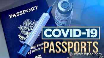 WHO against COVID-19 vaccine passports for the time being, spokesperson says