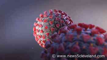 Coronavirus cases drop Tuesday, but more COVID-19 patients filling Ohio's hospitals - News 5 Cleveland