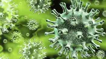 Southwest Florida coronavirus case totals for Tuesday, April 6 - NBC2 News