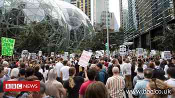Amazon 'illegally retaliated' against climate activists