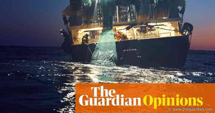 Seaspiracy shows why we must treat fish not as seafood, but as wildlife | George Monbiot