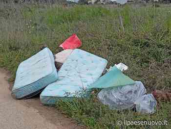 Manduria, “Uno sfregio perpetrato senza pietà” - il Paese Nuovo