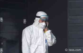 Russia to keep investigating coronavirus origins jointly with WHO — diplomat - TASS