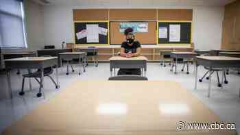 Educators, academics raise alarm about kids 'checking out' of school amid COVID-19