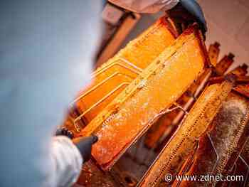 How low-code development is supporting this growing business, from beehives to bottles of gin