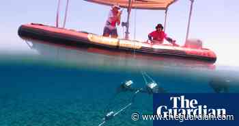 Threatened species thrive in protected Australian reef – video