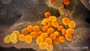 April 6 coronavirus news - CNN International