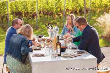 Dineren tussen de wijnranken vlakbij Gent: “Het domein verbaast ons nog elke dag”
