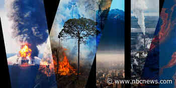 'Ecocide' movement pushes for a new international crime: Environmental destruction