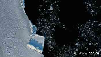 A bird's-eye view on Labrador climate change, as drones inform on ice