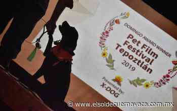 Alistan el Pet Film Festival Tepoztlán 2021 - El Sol de Cuernavaca