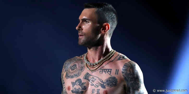 Adam Levine Wears a Dress in a Cute Family Photo With Wife Behati Prinsloo & The Kids