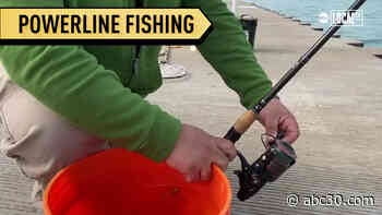 Spring has sprung and powerline fishermen are back on Chicago's lakefront!