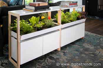 I didn’t think I could grow veggies at home, but a smart garden showed me how