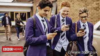 Mobile phones should be banned in schools - Gavin Williamson