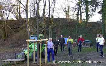 Zweiter Baum ist gepflanzt - Steinen - Badische Zeitung