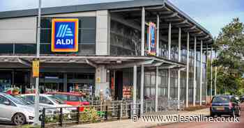 Aldi donating tonnes of surplus food to make 400,00 meals for families in need - Wales Online