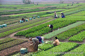 New pamphlet on capitalism, food and agriculture - Socialist Worker