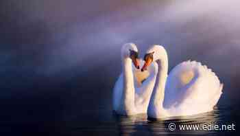 The coronavirus 'white swan': Companies and investors ramping up sustainability commitments