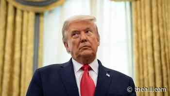 Trump denies Gaetz asked him for blanket pardon
