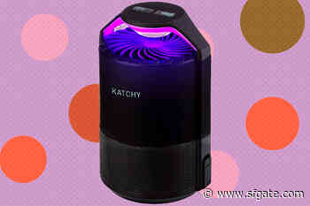 Outsmart fruit flies and mosquitoes with this $28 gadget - SFGate