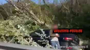Paura sulla Colombo: albero crolla su un'auto ferma al semaforo