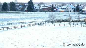 Dissen im Schnee – ein Stillleben - noz.de - Neue Osnabrücker Zeitung