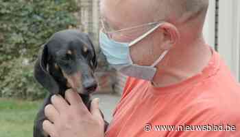 Opvallende nieuwkomer in 'De mol' steelt alle harten, maar waar komt Isidoor vandaan? - Het Nieuwsblad