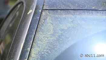 Allergies acting up? You're not alone. North Carolina doctor offers allergy treatment tips as pollen count soars