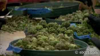 Virginia lawmakers OK Northam's changes to marijuana bill